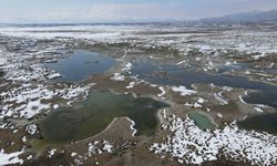 Ekşisu Kuş Cenneti'nde Doğanın Görüntüleri Drone ile Ekrana Yansıtıldı