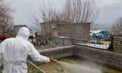 Elazığ'da Larva İlaçlama Faaliyetleri Başladı