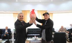 Elazığ'da Tavla ve Bocce Turnuvası Düzenlendi