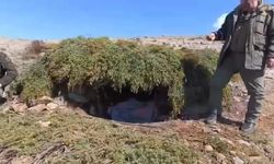 Elazığ'da yasadışı meterisler yok edildi