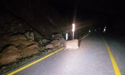 Emet'te meydana gelen toprak kayması