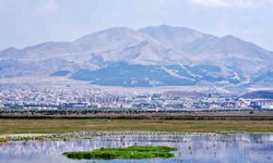 Erzurum ve Bakü Petrol Hattında 1921'de Önemli Kesinti