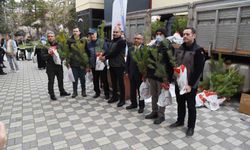 Eskişehir Orman Bölge Müdürlüğü'nden ücretsiz fidan dağıtımı