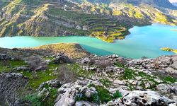 Gerger Kayalıkları'nda Ayı Nevruzu Renk Cümbüşü Yaratıyor