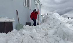 Gümüşhane'de Şaşırtan Olay: Ayılar Kapı Değil Pencereden Girdi