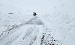 Hakkari'de 13 köy ve 32 mezra yolu kapandı