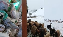 Hakkari'de 1,5 Metre Kar: Çiftçiler Zor Durumda