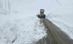 Hakkari'de 61 yerleşim alanının yolları kapandı