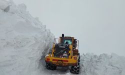 Hakkari'de kapanan tüm köy ve mezra yolları yeniden açıldı