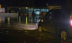 Hasköy'de Yağmur ve Eriyen Kar Suları Su Baskınlarına Yol Açtı