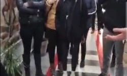 Hayvanseverler, barınaktaki korkunç manzaralar sonrası belediyeye akın etti