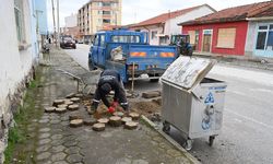 İnönü'de Çöp Konteynerlerine Yönelik Yenilikçi Düzenlemeler