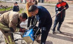 İtfaiye, mahsur kalan köpeklere yardım etti