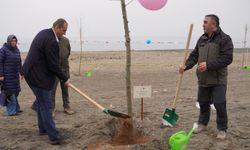 İznik'te Ağaç Fidanları Toprakla Buluştu