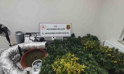 Jandarma'dan uyuşturucu baskını: 1 kişi gözaltında