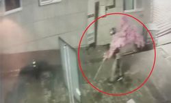 Kafeden Fazlası Yazısını Gördü, Süs Ağacını Kaldırıp Gitti