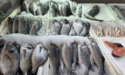 Kahramanmaraş'ta Su Ürünleri Avı Yasağı Uygulamaya Girdi