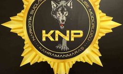 Kahramanmaraş'ta uyuşturucu baskını: İki kişi tutuklandı