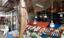 Karakaya Barajı'nda 42 Kilogram Ağırlığında Turna Balığı Dikkat Çekti