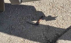 Karaman'da Bıçaklı Kavga: 1 Kişi Yaralandı