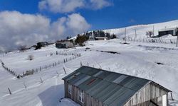 Kardüz Yaylası'ndan Büyüleyici Manzaralar