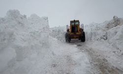 Karlıova'da Kış Şartlarıyla Mücadele Devam Ediyor