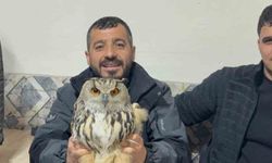 Kars'ta yaralı puhuya yardım uzandı