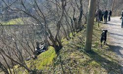Kastamonu'da 'patpat' aracı devrildi: 2 kişi yaralandı