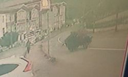 Kastamonu'da Tarım Aracı Lastiği Fırladı: 1 Kişi Yaralandı