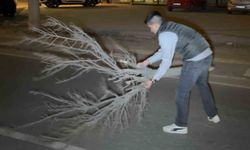 Kaza Sonrasında Yolu Cam ve Plastik Parçalardan Temizleyen Vatandaş Ağaç Kullandı