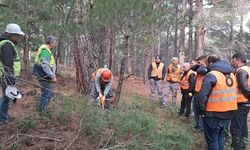 Kazdağları'nda Orman İşçileri İçin Mesleki Yeterlilik Sınavı Gerçekleştirildi