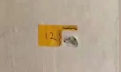 Kendilerini polis olarak tanıtıp eve giren saldırganlar anne ve oğlunu vurdu