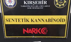 Kırşehir'de Uyuşturucu Baskını: 11 Gözaltı, 1 Kişi Tutuklandı