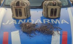 Kırşehir'de yasa dışı keklik avcıları tespit edildi