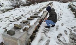 Kış Koşullarında Şampiyon Arılarını Koruma Çabası