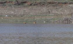 Kızılca Göleti, Ağustos'ta Başlayan Kuruma Sürecinin Ardından Yeniden Suya Kavuştu