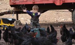 Kocaeli'de Çiftçilerin Yüzünü Güldüren Destekler Rakamlarla Ortaya Çıktı