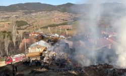 Köyde meydana gelen yangın: Evler ve ahırlar alevlere teslim oldu