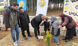 Küçük Eller Doğayla Buluştu