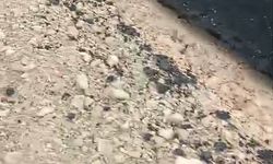 Kurtalan'daki Yeni Yolun Güvenliği Tehlikede İddiası