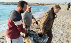 Kuşadası'nda 2 genç yeşil deniz kaplumbağası ve 1 caretta caretta ölü olarak bulundu