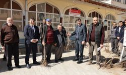 Kütahya'da Yerel Kiraz Çeşitleri Yeniden Toprakla Buluşturuluyor