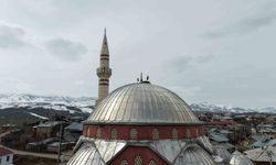 Leylekler Baharın Gelişini Müjdeliyor: Muş Ovası'na Dönmeye Başladılar