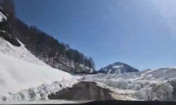 Macahel Geçidi, Artvin'de Yeniden Ulaşım Açık