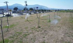 Manisa'da Akıllı Sulama Sistemleri Yeşil Alanlarda Uygulanmaya Başladı