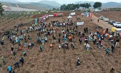 Manisa'da Orman Haftası Kapsamında Binlerce Fidan Toprakla Buluştu