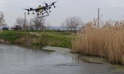 Manyas'ta Sivrisineklerle Mücadele İçin Seferberlik Başlatıldı