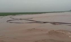 Mardin'de Şiddetli Yağış Hayatı Olumsuz Etkiledi: Dereler Taştı, Ahır Yıkıldı