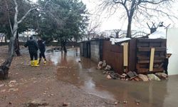 Mardin'de Yağışlar Sonrası Kümeste Su Baskını: 5 Tavuk Hayatını Kaybetti