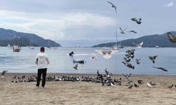 Marmaris'te Güvercinler Kış Aylarında Sahili Sahipleniyor